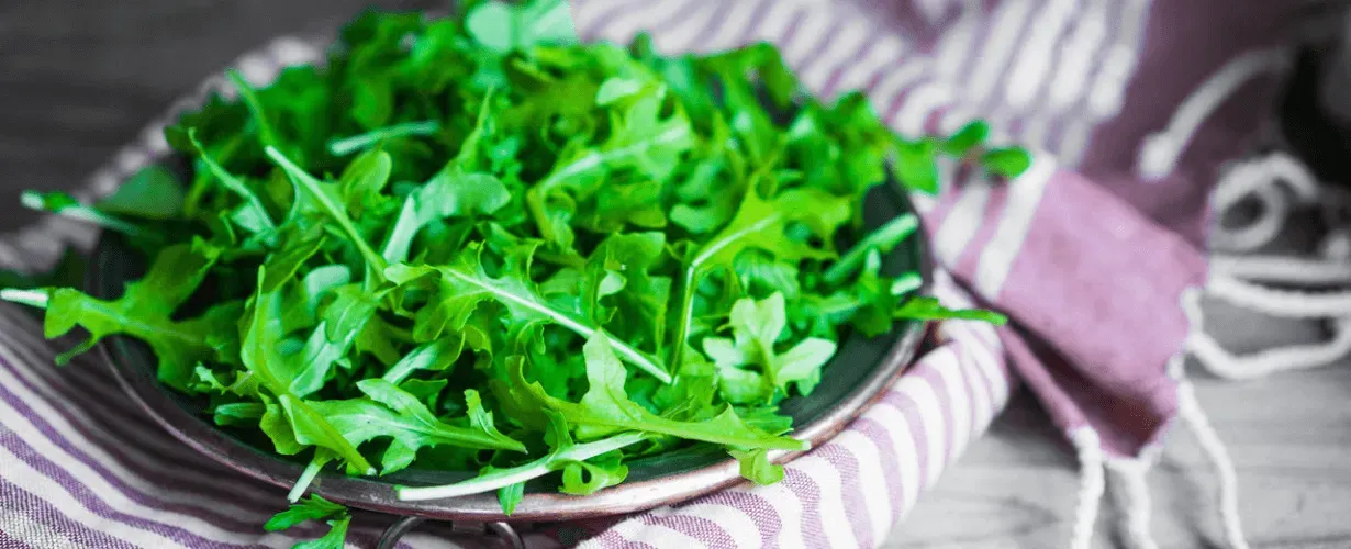 Przepisy na pyszne i zdrowe dania z rukolą