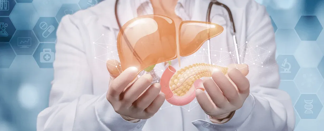 Jej wysokość wątroba - jakie spełnia funkcje i jak o nią dbać