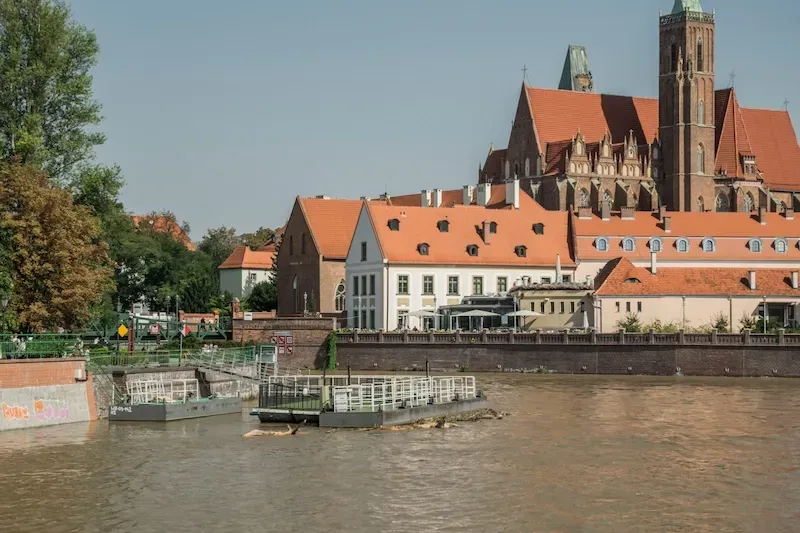 Catering keto Toruń: ranking 12 marek z ceną i dowozem