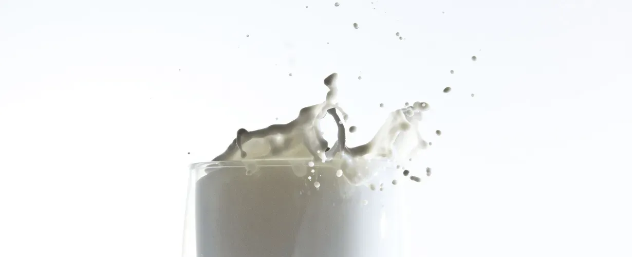 Czy mleko jest zdrowe? Dlaczego mleko może szkodzić?