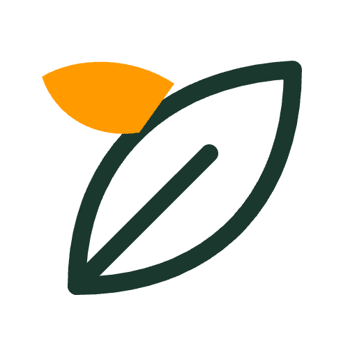 dieta-pudelkowa-kogo-roslinna-zielona.png