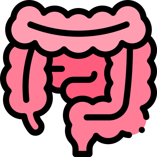 intestines.png