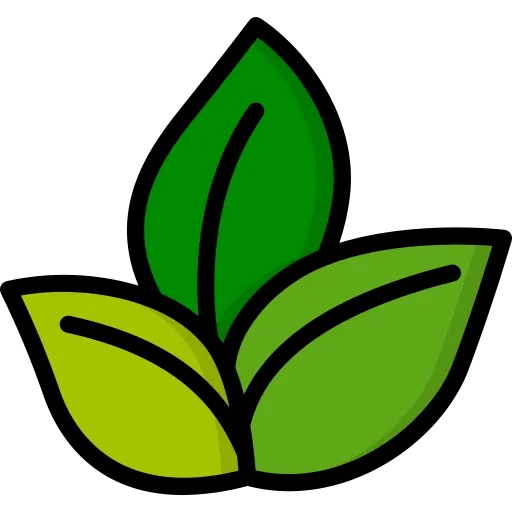 vegan.webp