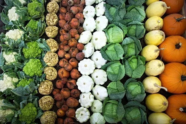 Polskie superfoods, czyli rodzima żywność o wyjątkowej mocy