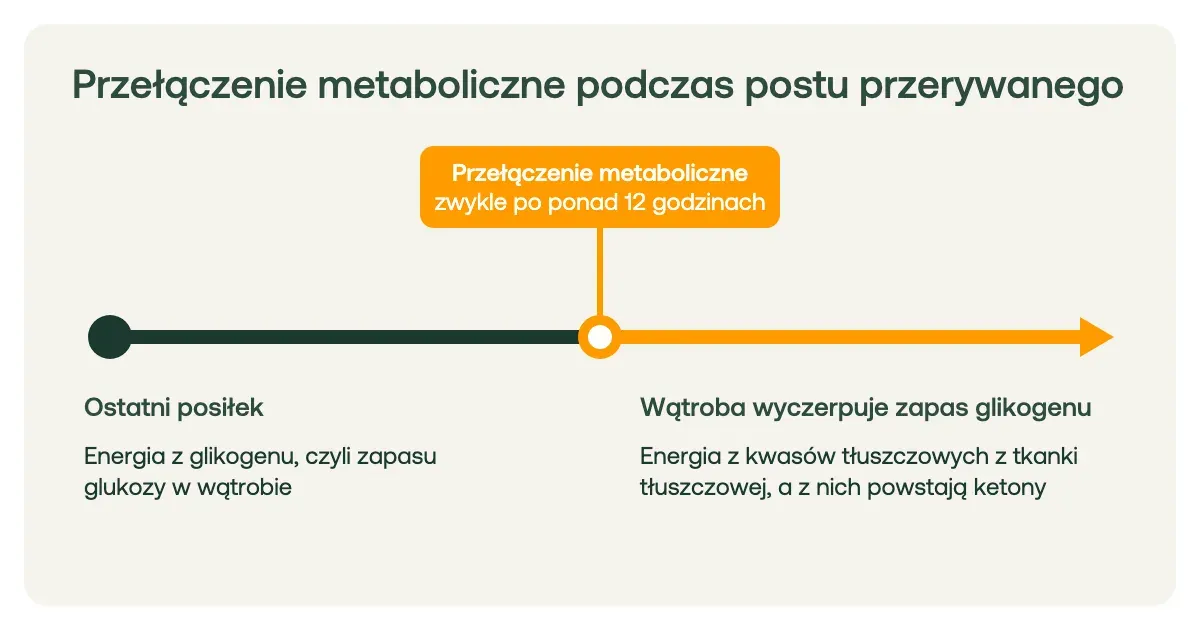 Przełączenie metaboliczne podczas postu przerywanego zwykle po ponad 12 godzinach od ostatniego posiłku